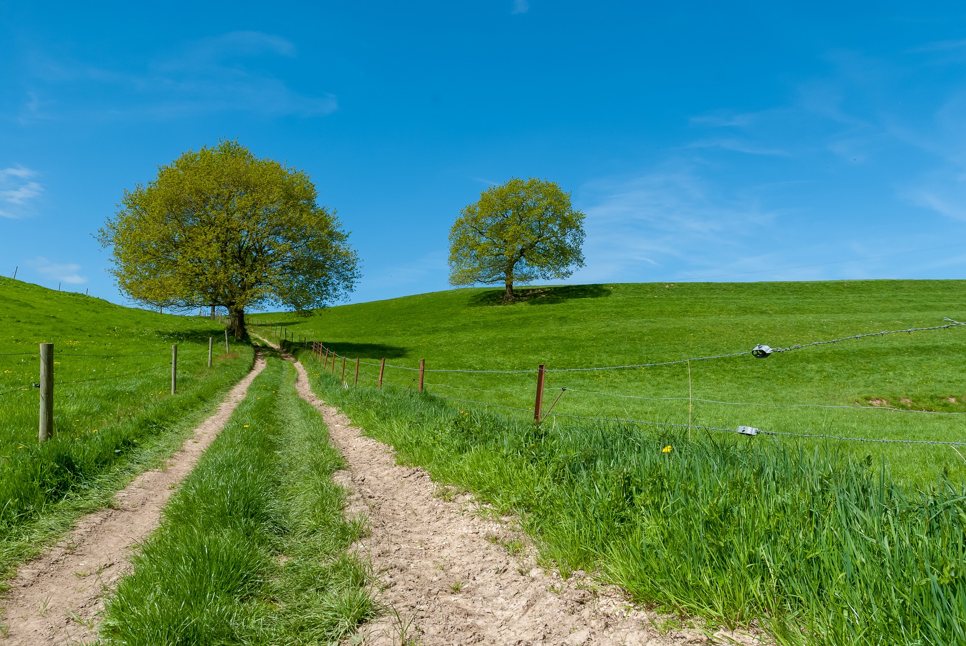 pre-de-normandie